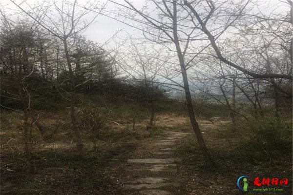 盘点池州十大风景名胜排行榜 九华山风景区排名池州美景第一