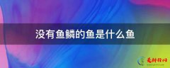 没有鱼鳞的鱼是什么鱼 没有鱼鳞的鱼都有什么