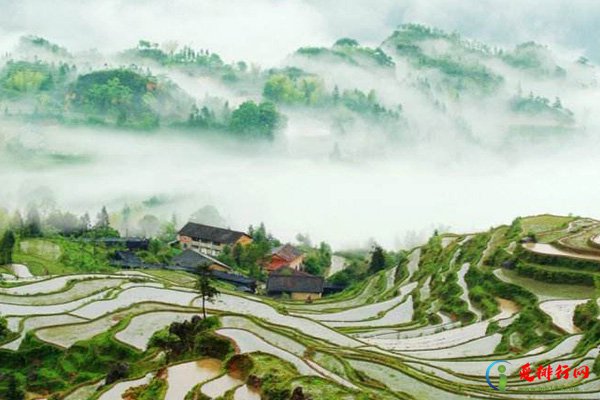 浙江旅游必去十大景点 浙江好玩的景点排名