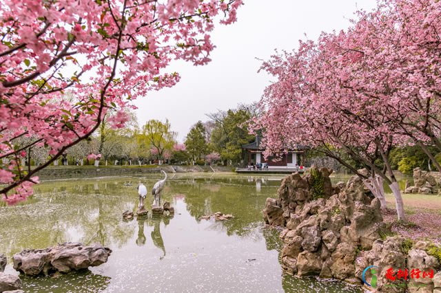 南京十大清明旅游好去处,南京清明节哪里好玩