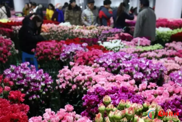 中国十大花木交易市场,国内花木批发市场排名前十