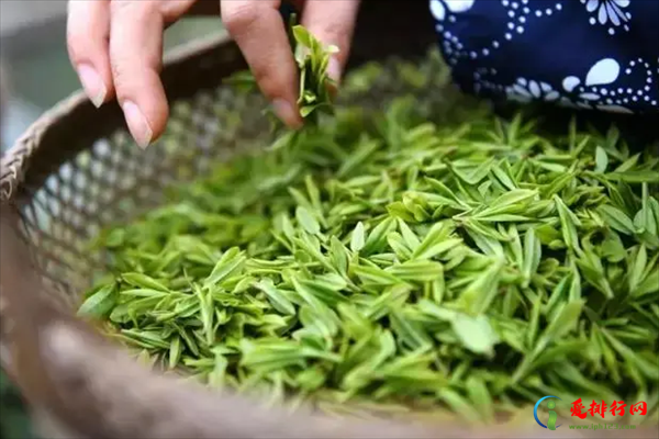 杭州十大名茶排行榜,杭州最有名的茶有哪些