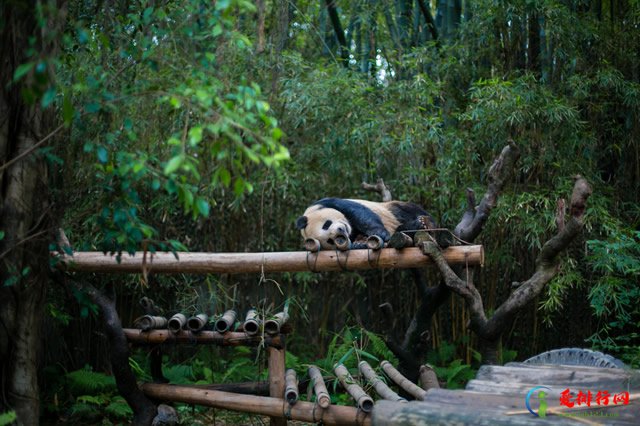 广州国家级景区名单大全 广州A级旅游景区名录