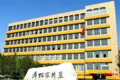 中国十大舞蹈学院排名 国内舞蹈学院排行榜前十