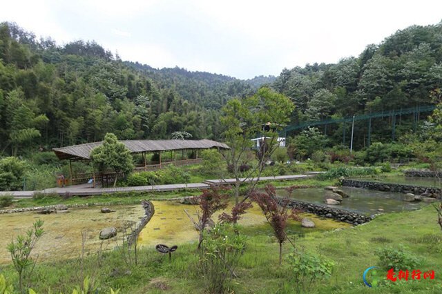 南昌十大夏季避暑旅游景点 南昌夏季旅游去哪里好 南昌避暑玩水的地方