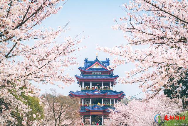 情侣必去十大旅游景点排行榜 十大适合情侣疗伤的游玩景点排名