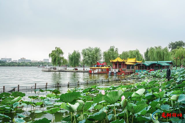 山东十大端午节旅游景点 山东端午节去哪玩好