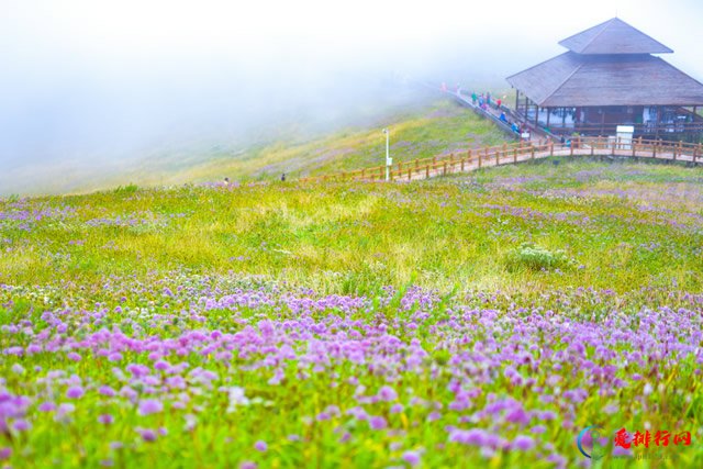 毕节4a景点有哪些 毕节国家级4A景区名单