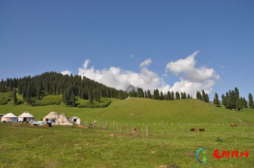 2022年塔城地区热门景点排行榜前十名 去塔城地区必玩景区推荐