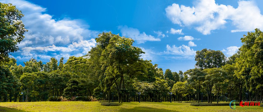 2022广州热门景点排行榜前十名 十个广州必去的景点排名