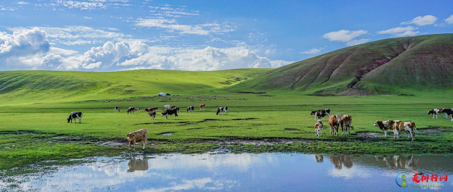 适合秋季旅游景点排名前十 中国十大赏秋胜地