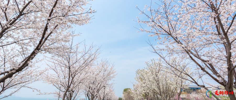 苏州适合看日落的地方排名 苏州十大最佳日落观赏地排名