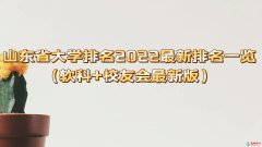 2022山东省大学最新排名一览（软科+校友会最新版）