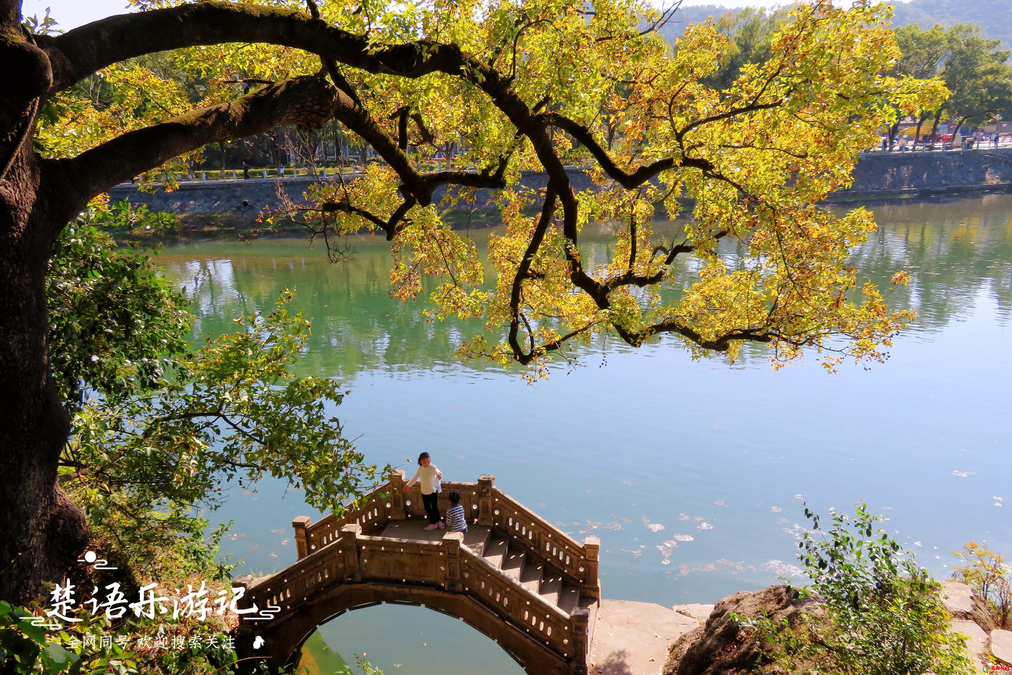 宁波十大秋季旅游好去处 宁波有什么好玩的地方旅游景点