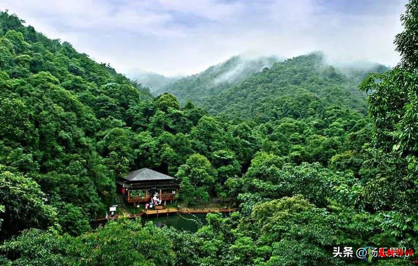 河源市好玩的旅游景点有哪些 河源著名的十大景点