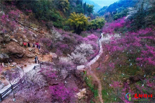 成都旅游必去的网红景点 宽窄巷子景观独特锦里历史建筑多