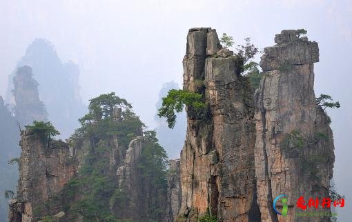 张家界全域降为低风险地区 张家界解封之后回家