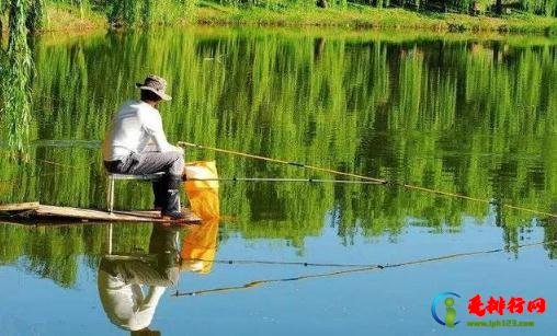 国庆钓鱼钓深水还是浅水 国庆节钓鱼用什么饵料