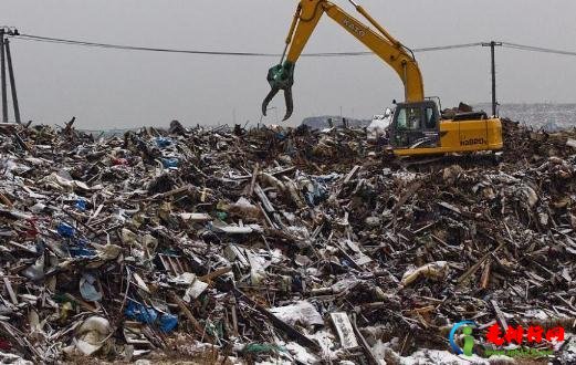 地震在哪个地方最多 地震来临时如何避险