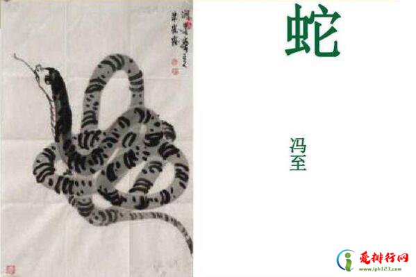 中国最著名的十首现代诗 现代有名的诗词排名前十